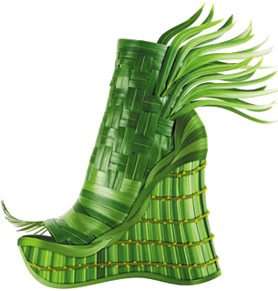 FlowerShoe3