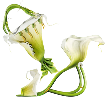 FlowerShoe4
