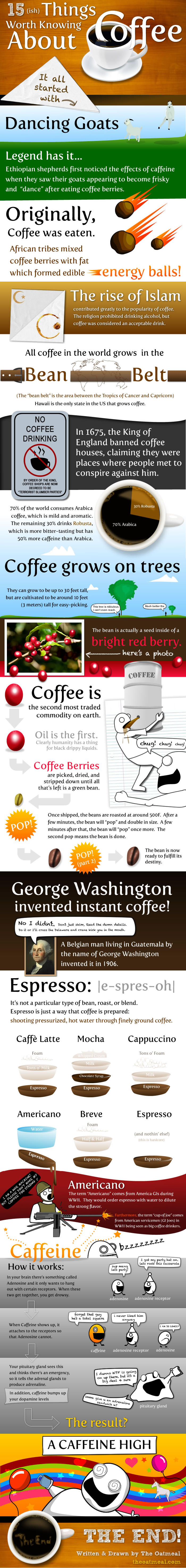 coffee infographic