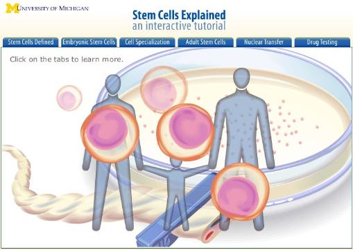 stem cells tutorial