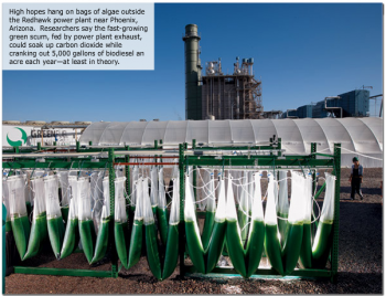 BioFuel4