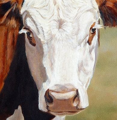 cow