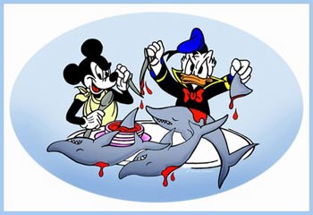 disney sharks fin pic disney sharks fin pic
