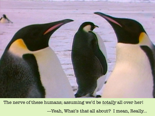 penguins penguins